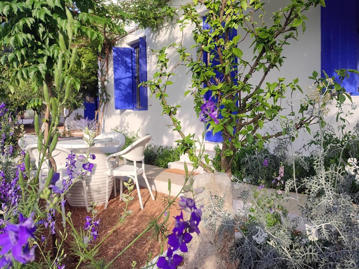 Anticlea II Villa Vathy  Ngoại thất bức ảnh